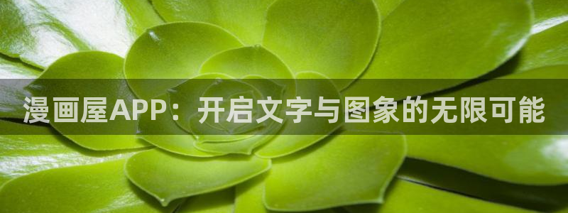 漫漫漫漫画免费版在线阅读免费观看